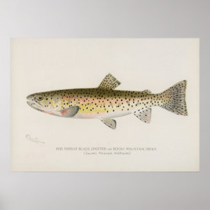 Poster L'art vintage de la truite des Rocheuses