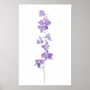 Poster larve pourpre fleurs aquarelle