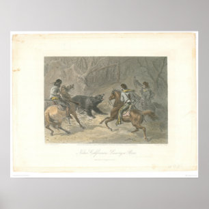 Poster Lassoing a Bear (1178A)