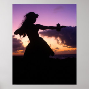 Poster Last Light