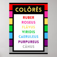 Poster Latin Colours - Cadeau Enseignant Latin