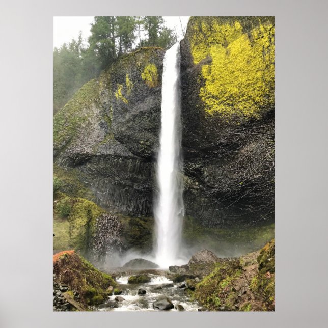 Poster Latourell Falls, Oregon (Devant)