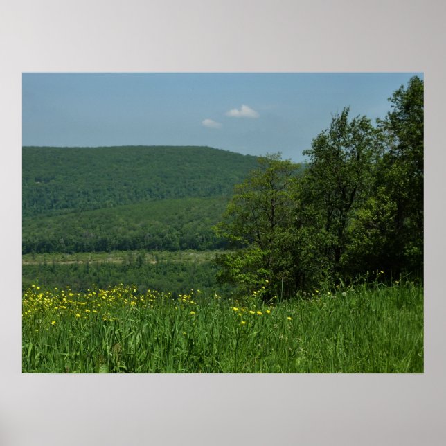 Poster Laurel Highlands Pennsylvania Summer Photography (Devant)