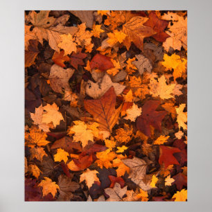 Poster l'automne