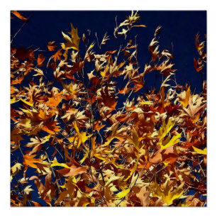 Poster L'automne artistique part contre le ciel bleu prof