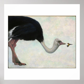 Poster L'autruche et le colibri par Bryn Barnard