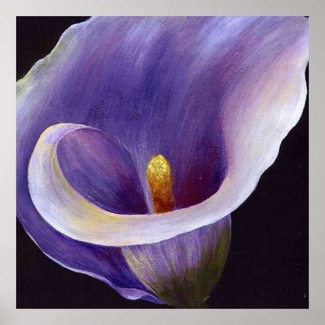 Poster Lavande Calla Lily (Devant)