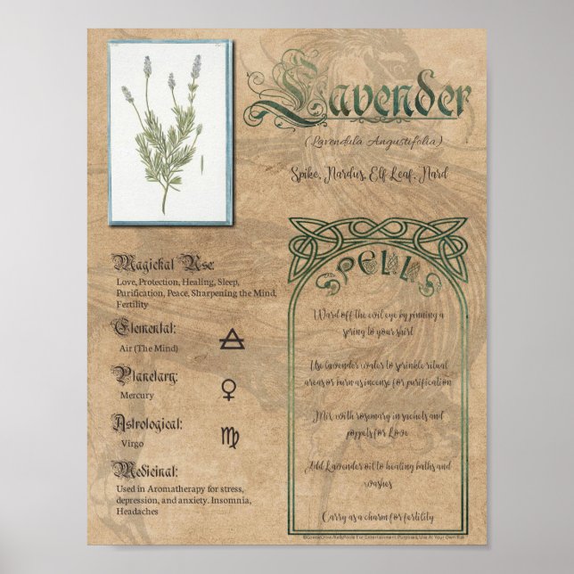 Poster Lavande livre de plantes ombres Pagan Wiccan (Devant)