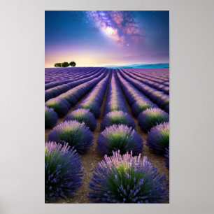 Poster Lavande Nature Extérieur Paysage Calme Paisible
