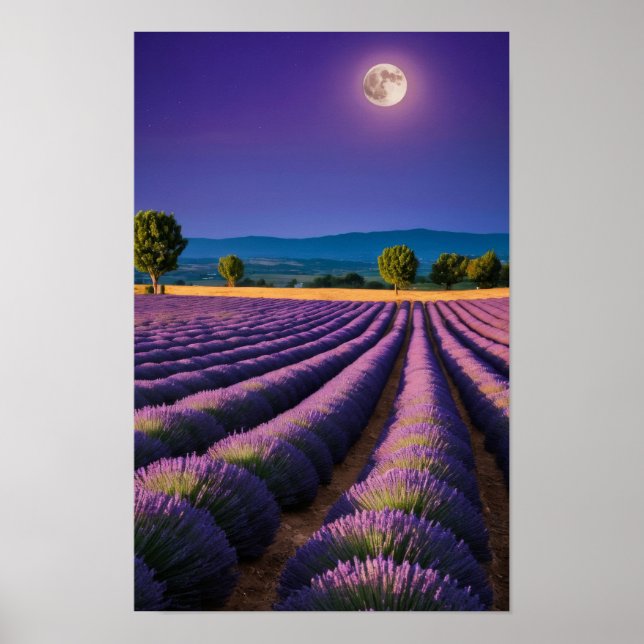 Poster Lavande Nature Extérieur Paysage Calme Tranquille (Devant)