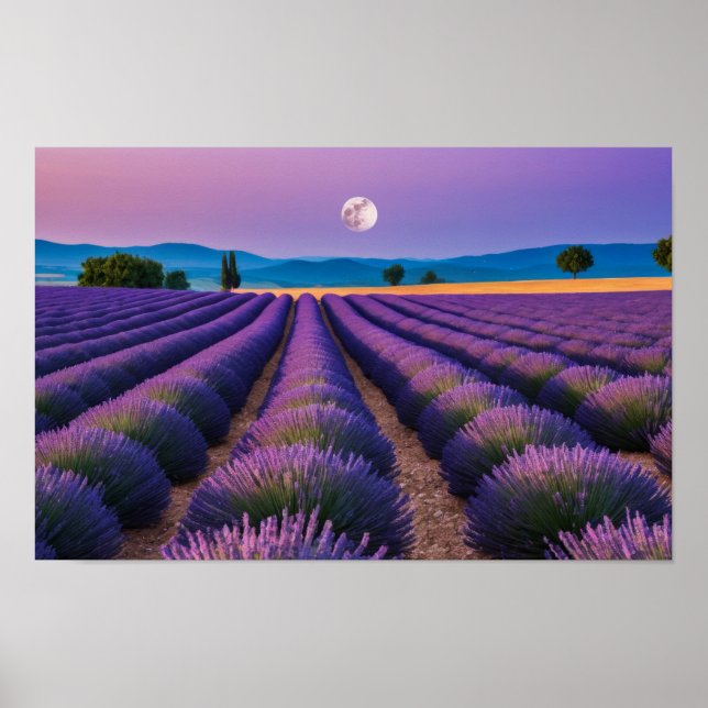Poster Lavande Nature Extérieur Paysage Calme Tranquille (Devant)