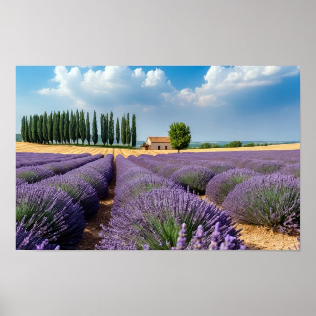 Poster Lavande Nature Extérieur Paysage Calme Tranquille (Devant)