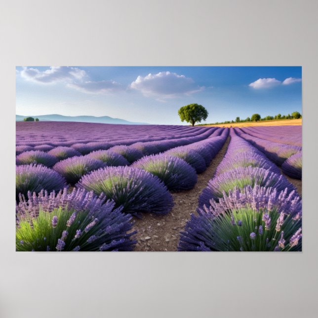 Poster Lavande Nature Extérieur Paysage Calme Tranquille (Devant)