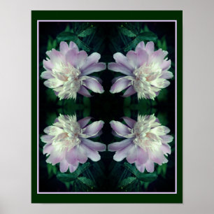 Poster Lavande Peony Fleur En Fleur Abstrait