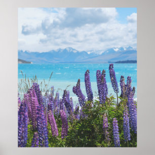 Poster lavande sur le lac