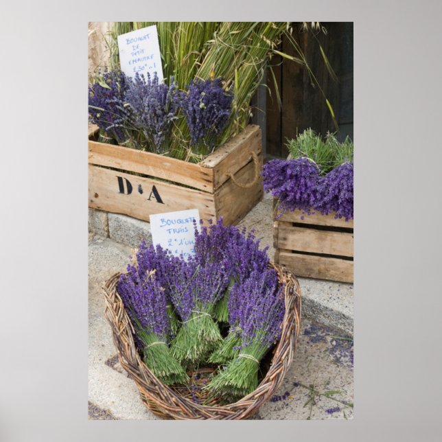 Poster Lavendar for sale, Provence, France (Devant)