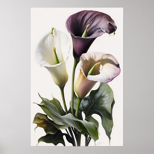 Poster Lavender Calla Lilies Lily Flower Art Imprimer Pos (Devant)