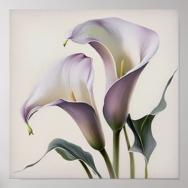 Poster Lavender Calla Lilies Lily Flower Art Imprimer Pos (Devant)