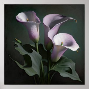 Poster Lavender Calla Lilies Lily Flower Art Imprimer Pos