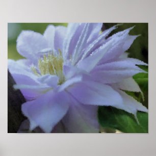 Poster Lavender Clematis Art Fleur Peinture Photo