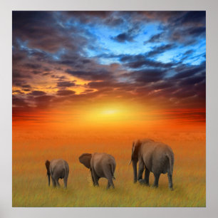 Poster L'avenir est lumineux