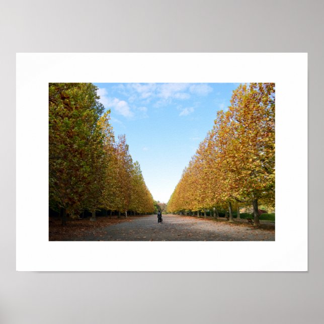 Poster L'avenue des platanes à l'affiche d'automne (Devant)