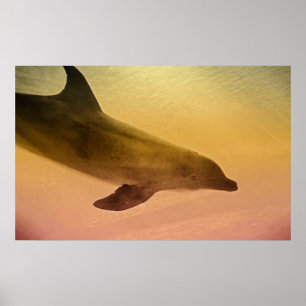 Poster Lazy Afternoon Print