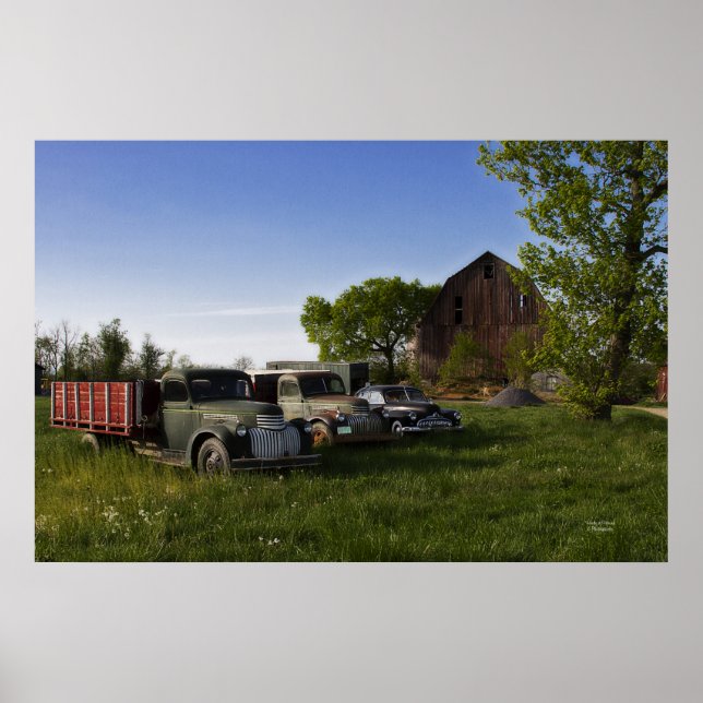 Poster Lazy Dayz (Devant)