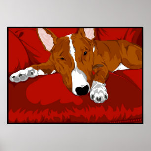 Poster Lazy English Bull Terrier