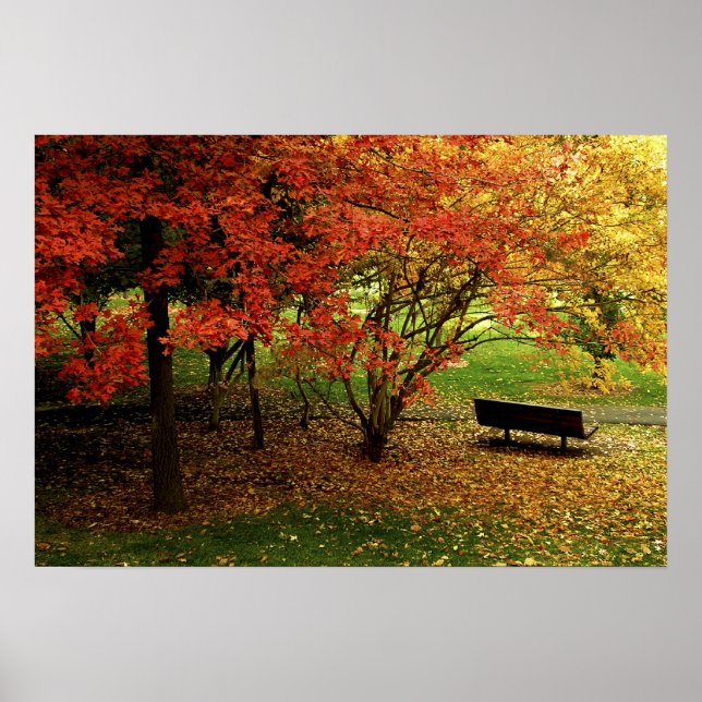 Poster Le Banc D'Automne (Devant)