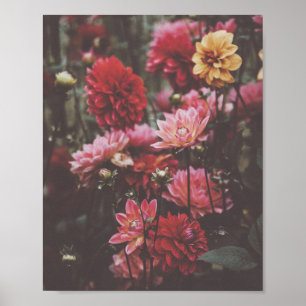 Poster Le beau rose fleurit la photo en automne