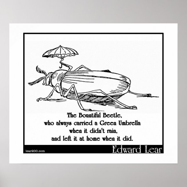 Poster Le bel insecte (Devant)