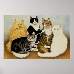 Poster Le berceau du chat