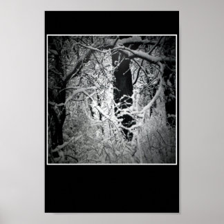 Poster le bower de la reine des neiges