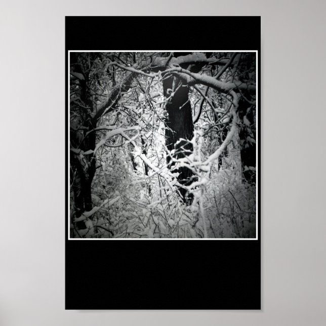 Poster le bower de la reine des neiges (Devant)