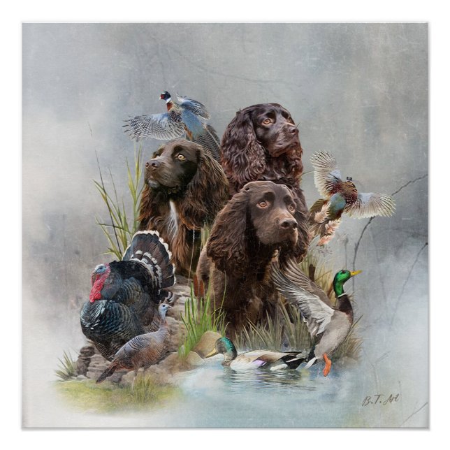 Poster Le Boykin Spaniel (Devant)