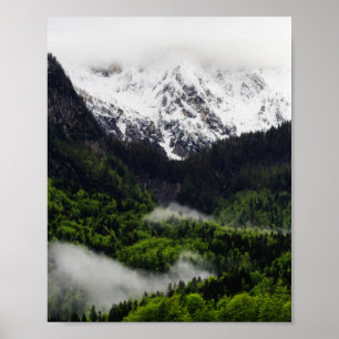 Poster Le brouillard qui roule dans la forêt sous les mon