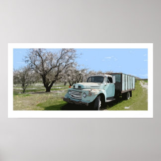 Poster Le Camion de Megan en fleurs d'amandes