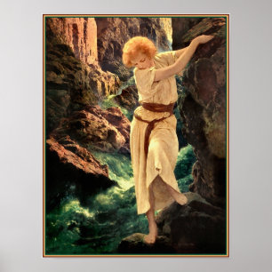 Poster Le Canyon
