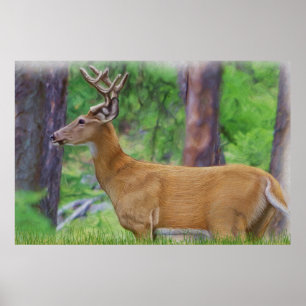 Poster Le Cerf blanc de velours