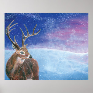 Poster Le cerf rouge (Cervus elaphus)