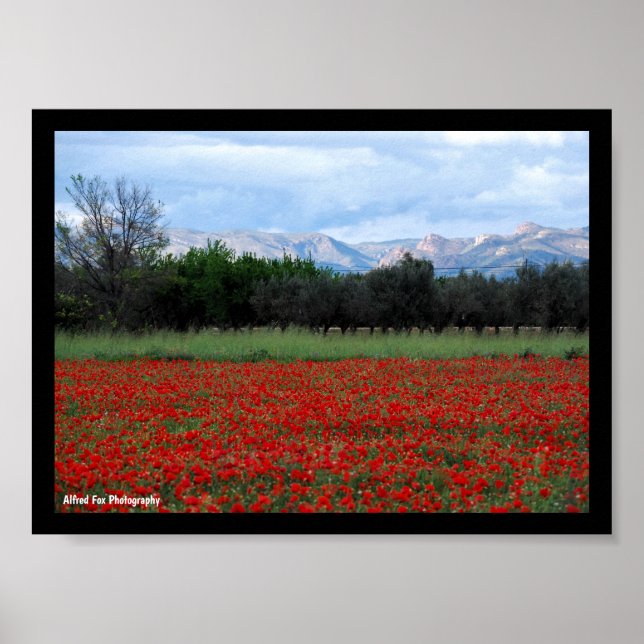Poster Le champ de coquelicots (Devant)