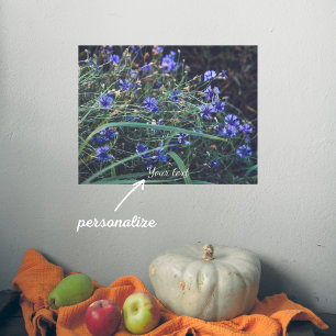 Poster Le champ de Cornflower