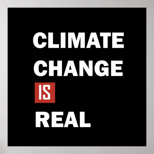 Poster Le changement climatique est une réelle conscience (Devant)