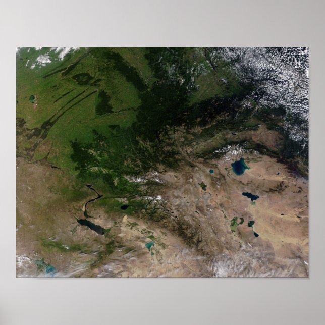 Poster Le changement de végétation (Devant)