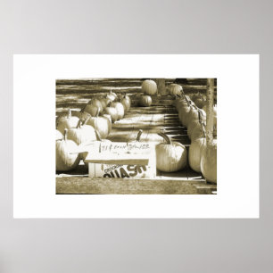 Poster Le chariot de citrouille