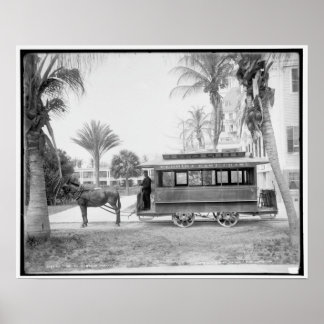 Poster Le chariot de Palm Beach
