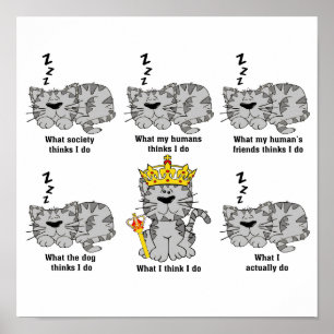 Poster Le Chat
