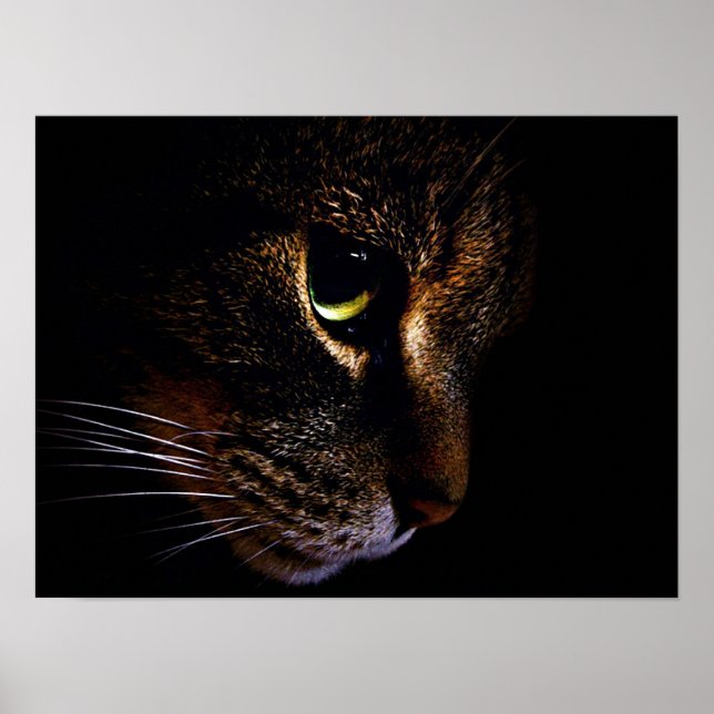 Poster Le chat (Devant)