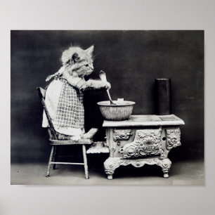 Poster Le Chat Cook Funny Harry Whittier Frees 1914
